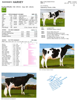 ani-0.34883700 1769516089.png