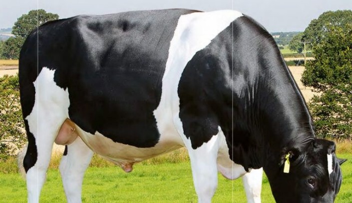 ani-0.75518200 1765371166.jpg