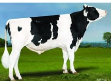 ani-0.41142300 1772523758.jpg