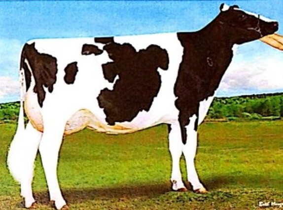 ani-0.63356300 1772523173.jpg